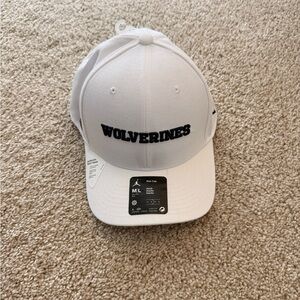 NEW Jordan On-Field Michigan Wolverines Hat